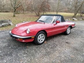 1986 Alfa Romeo Spider for sale 101837311