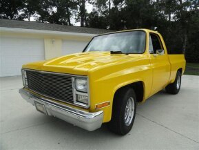 1986 Chevrolet C/K Truck for sale 101618444