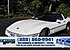 1986 Chevrolet Corvette Coupe for sale 100994256