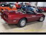 1986 Chevrolet Corvette Convertible for sale 101665541