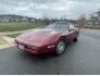 1986 Chevrolet Corvette for sale 101833814