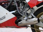 Thumbnail Photo 8 for 1986 Ducati Other Ducati Models