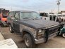 1986 Ford Bronco for sale 101619034