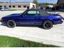 1986 Ford Mustang for sale 101629269