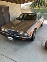1986 Jaguar XJ6 for sale 101927858