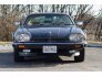 1986 Jaguar XJS for sale 101249683