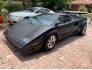 1986 Lamborghini Countach for sale 101771384