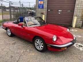 1987 Alfa Romeo Spider for sale 101683549