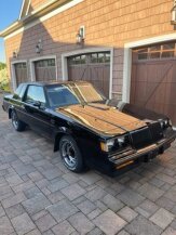 1987 Buick Regal for sale 101889031