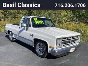 1987 Chevrolet C/K Truck 2WD Regular Cab 1500 for sale 101763563