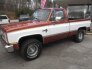 1987 Chevrolet C/K Truck for sale 101836086