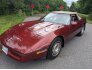 1987 Chevrolet Corvette for sale 101763058