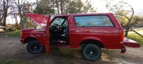 1987 Ford Bronco XLT for sale 102023169