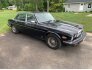 1987 Jaguar XJ6 for sale 101783284