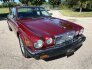 1987 Jaguar XJ6 for sale 101808346