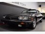 1987 Jaguar XJS V12 Convertible for sale 101710104