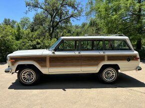 1987 Jeep Grand Wagoneer for sale 101880581