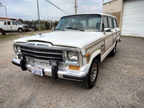 1987 Jeep Grand Wagoneer for sale 101900145