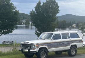 1987 Jeep Grand Wagoneer for sale 101933617