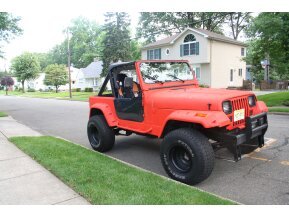 1987 Jeep Wrangler for sale 101786895