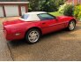 1988 Chevrolet Corvette Convertible for sale 101603935