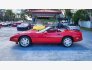 1988 Chevrolet Corvette Convertible for sale 101791189
