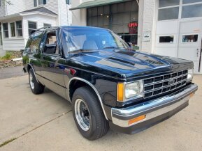 1988 Chevrolet S10 Blazer for sale 101958863