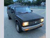 1988 Chevrolet S10 Pickup 4x4 Extended Cab
