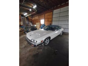 1988 Jaguar XJS for sale 101587732