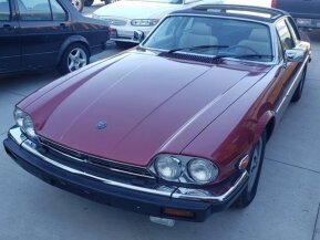 1988 Jaguar XJS for sale 101631412