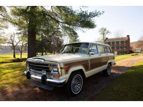 1988 Jeep Grand Wagoneer for sale 101767062