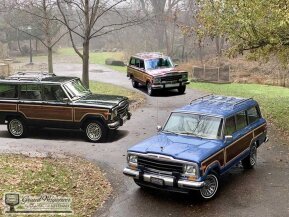 1988 Jeep Grand Wagoneer for sale 101825181
