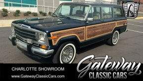 1988 Jeep Grand Wagoneer for sale 101865853