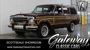 1988 Jeep Grand Wagoneer for sale 101957088