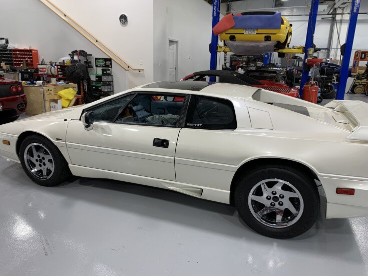 Thumbnail Photo undefined for 1988 Lotus Esprit Turbo