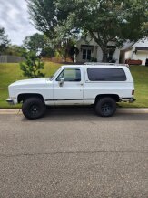1989 Chevrolet Blazer 4WD for sale 101956453