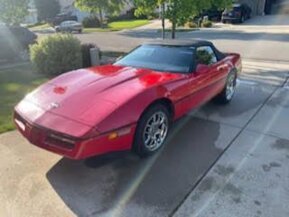 1989 Chevrolet Corvette for sale 101922986