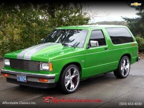 1989 Chevrolet S10 Blazer 2WD for sale 101841909
