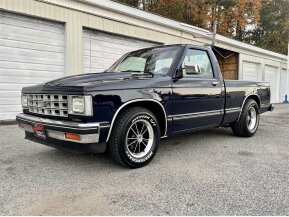 1989 Chevrolet S10 Pickup 2WD Regular Cab for sale 101820579