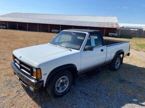 1989 Dodge Dakota for sale 101807017