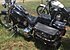 1989 Harley-Davidson Softail for sale 200602559