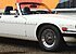1989 Jaguar XJS V12 Convertible for sale 101262668