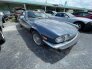 1989 Jaguar XJS for sale 101544689