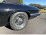 1989 Jaguar XJS V12 Convertible for sale 101593507