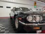 1989 Jaguar XJS V12 Convertible for sale 101686524