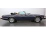 1989 Jaguar XJS for sale 101741572
