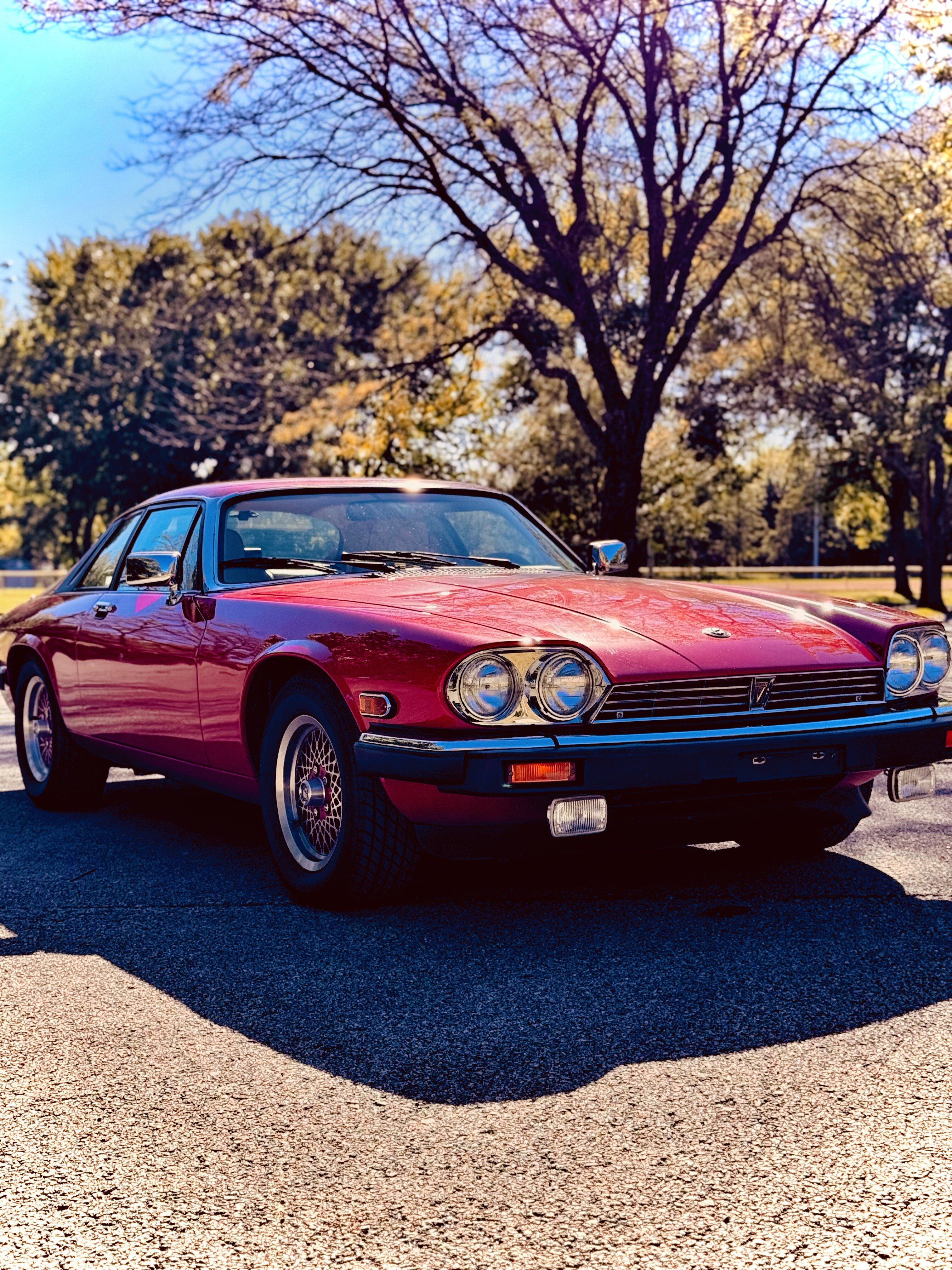 Jaguar Classic Cars for Sale near Columbus Ohio Classics on