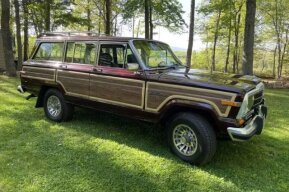 1989 Jeep Grand Wagoneer for sale 101776724