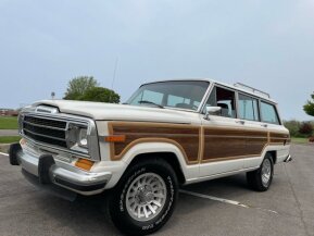 1989 Jeep Grand Wagoneer for sale 101889358
