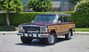 1989 Jeep Grand Wagoneer for sale 101894280
